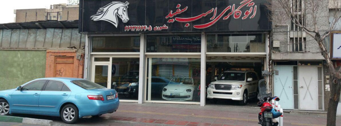 اسب سفید