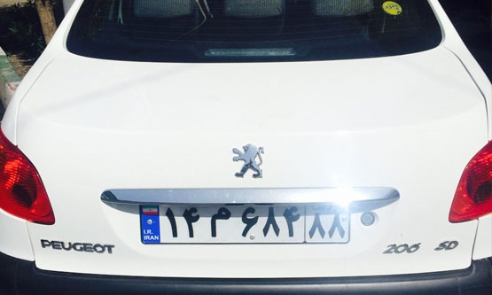 1393, پژو, SD V8