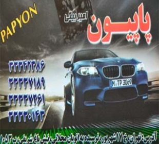 آقای مجتبی امیر بیگی