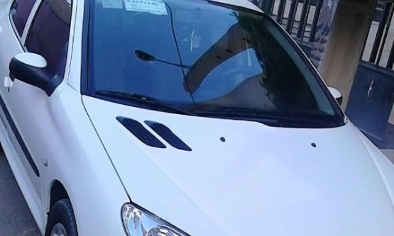 1391,پژو,SD V8