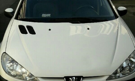 1394,پژو,SD V8