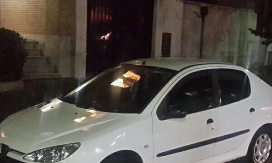 1389,پژو,SD V20