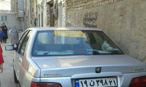 1383,پژو,پارس