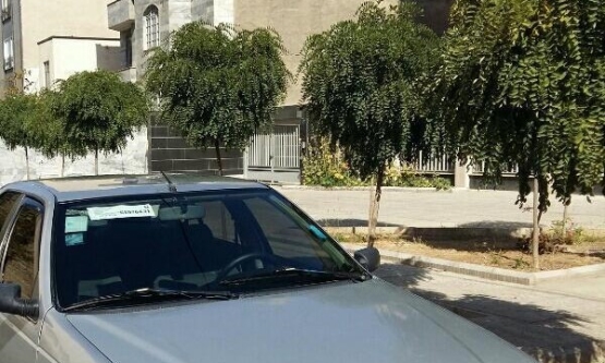 1385,پژو,پارس