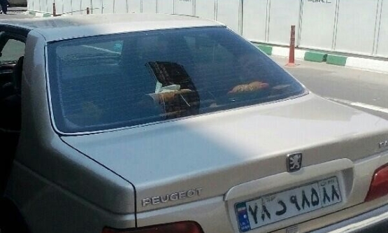 1383,پژو,پارس