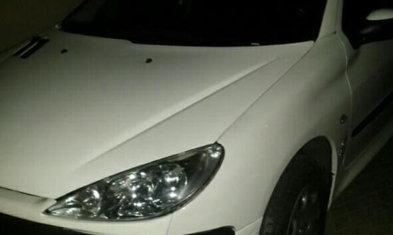1393,پژو,SD V8