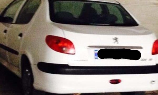 1393,پژو,SD V8